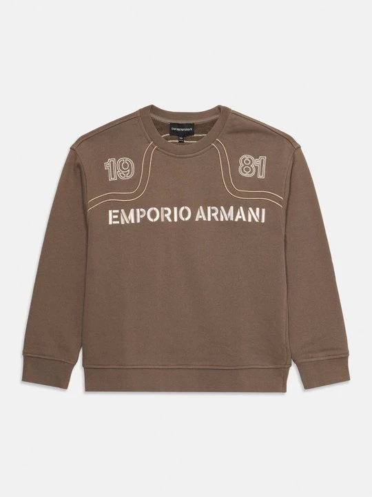 Obrázek produktu Mikina Emporio Armani hnědá