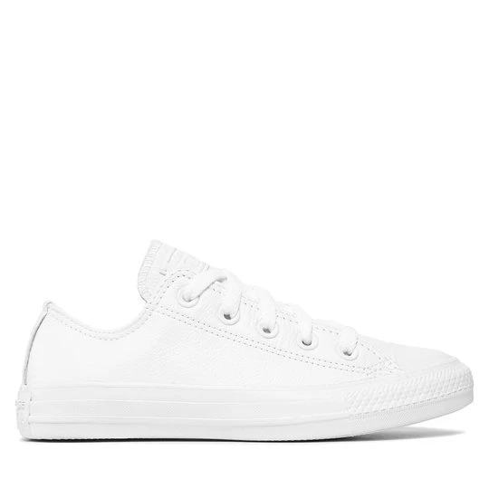 Obrázek produktu Plátěnky Converse Chuck Taylor All Star Ox 136823C Bílá