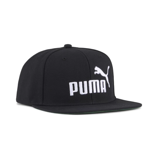 Obrázek produktu PUMA Essentials No.1 Logo Flat Brim Cap, Accessories, Black/Archive Green
