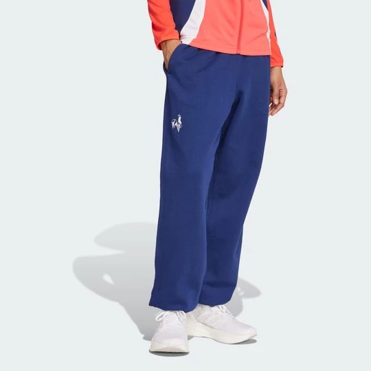 Obrázek produktu Sportovní kalhoty Team France Adidas