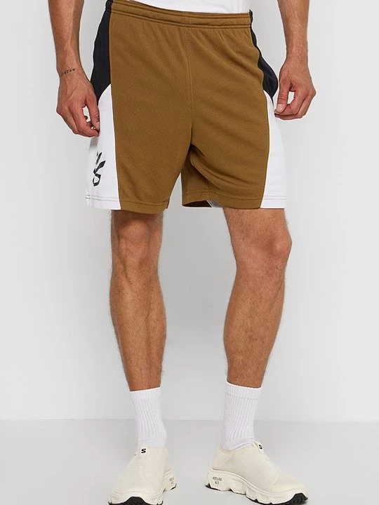 Obrázek produktu Sportovní kraťasy Under Armour hnědá