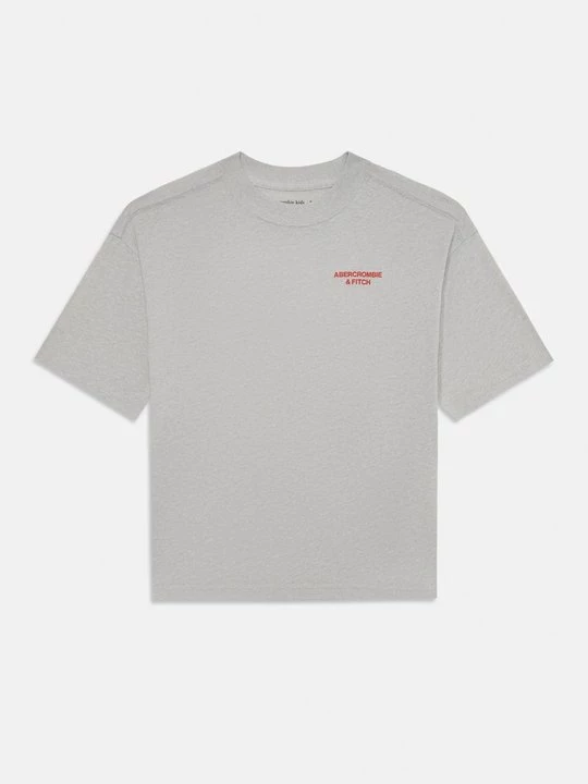 Obrázek produktu Triko s potiskem Abercrombie & Fitch