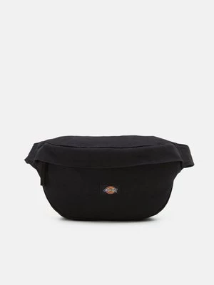 Obrázek produktu Ledvinka Dickies černá