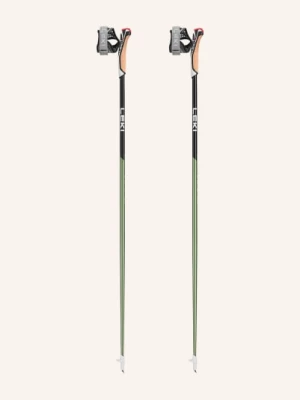 Obrázek produktu Leki Hole Pro Nordic Walking Flash Carbon zelená / černá
