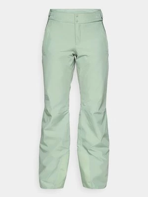 Obrázek produktu Lyžařské kalhoty The North Face