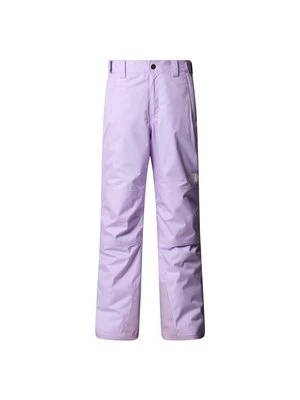 Obrázek produktu Lyžařské kalhoty The North Face