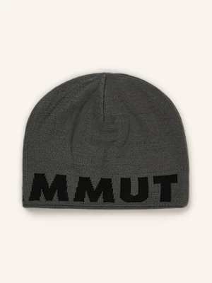 Obrázek produktu Mammut Čepice Logo Beanie šedá