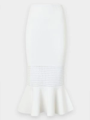 Obrázek produktu Maxi sukně Diane von Furstenberg
