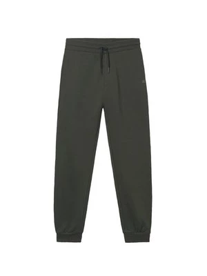 Obrázek produktu Mayoral Teplákové kalhoty 705 Zelená Regular Fit