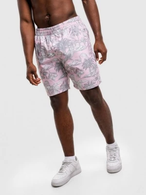 Obrázek produktu Mckenzie Šortky Vacay Swim