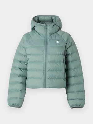 Obrázek produktu Mezisezónní bunda Calvin Klein Jeans světle zelená