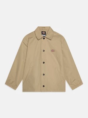 Obrázek produktu Mezisezónní bunda Dickies
