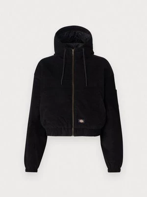 Obrázek produktu Mezisezónní bunda Dickies