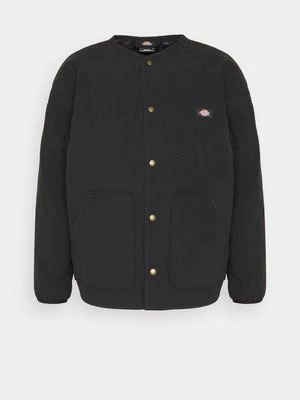 Obrázek produktu Mezisezónní bunda Dickies