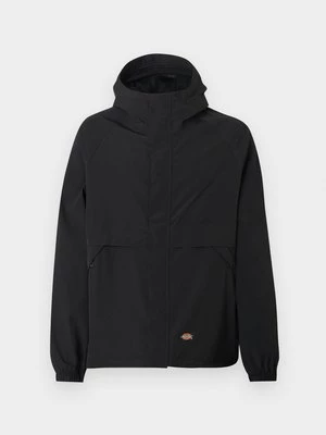 Obrázek produktu Mezisezónní bunda Dickies