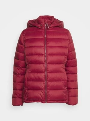 Obrázek produktu Mezisezónní bunda Pepe Jeans bordeaux