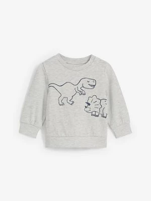 Obrázek produktu Miękka bluza z bawełny organicznej z motywem dinozaurów bonprix