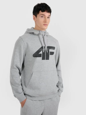 Obrázek produktu MIKINA 4F