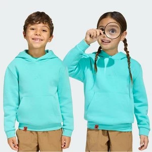 Obrázek produktu Mikina adidas Minecraft Terrex