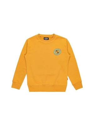 Obrázek produktu Mikina Billabong