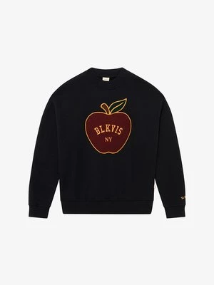 Obrázek produktu Mikina BLKVIS