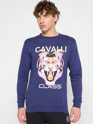 Obrázek produktu Mikina Cavalli Class