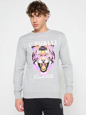 Obrázek produktu Mikina Cavalli Class
