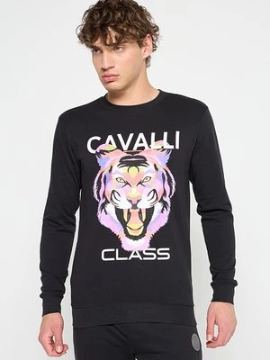 Obrázek produktu Mikina Cavalli Class