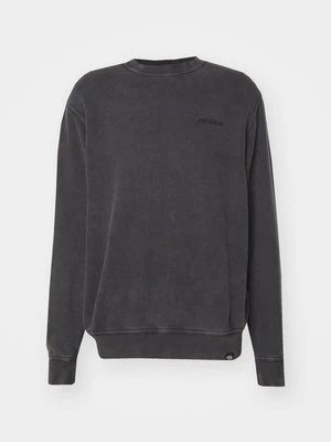 Obrázek produktu Mikina Dickies