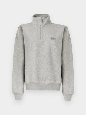 Obrázek produktu Mikina Dickies