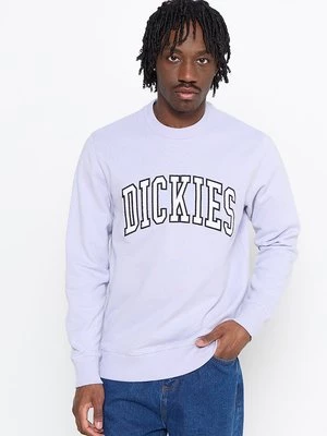Obrázek produktu Mikina Dickies