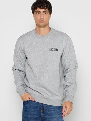 Obrázek produktu Mikina Dickies