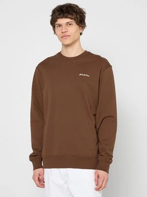 Obrázek produktu Mikina Dickies