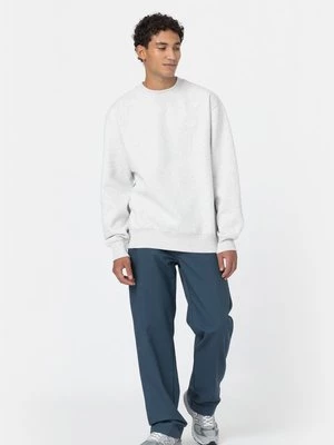 Obrázek produktu Mikina Dickies
