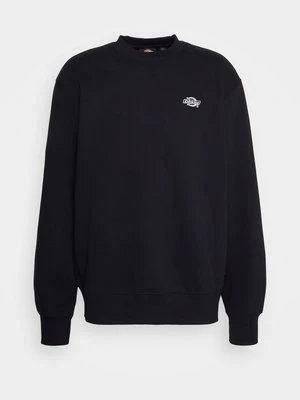 Obrázek produktu Mikina Dickies