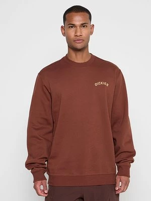 Obrázek produktu Mikina Dickies