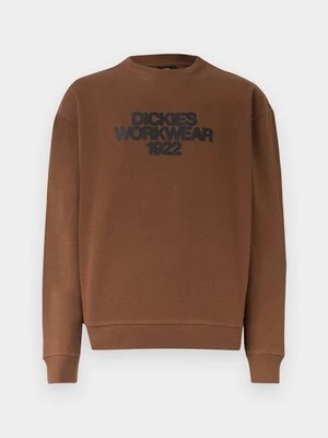 Obrázek produktu Mikina Dickies