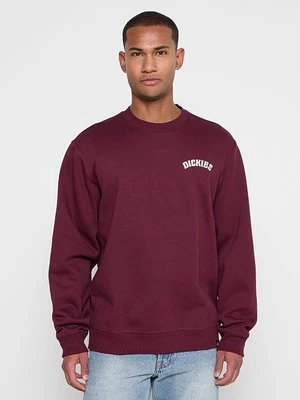 Obrázek produktu Mikina Dickies