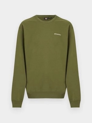 Obrázek produktu Mikina Dickies