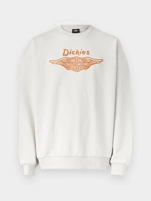 Obrázek produktu Mikina Dickies
