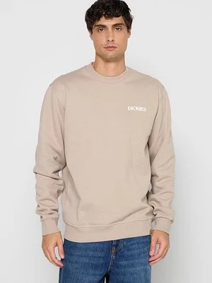 Obrázek produktu Mikina Dickies