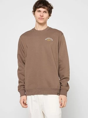 Obrázek produktu Mikina Dickies