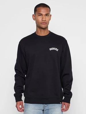 Obrázek produktu Mikina Dickies