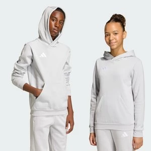 Obrázek produktu Mikina Entrada26 Kids Adidas