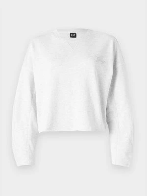 Obrázek produktu Mikina GAP