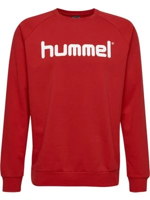 Obrázek produktu Mikina Hummel