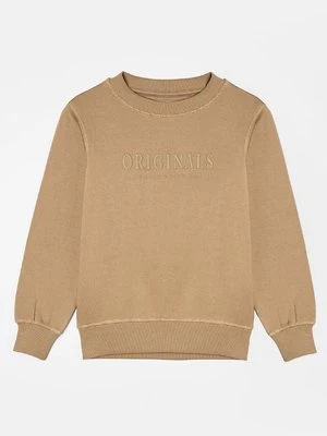 Obrázek produktu Mikina Jack & Jones Junior