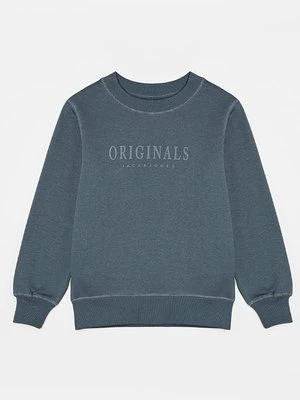 Obrázek produktu Mikina Jack & Jones Junior