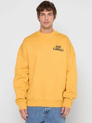 Obrázek produktu Mikina Just Cavalli