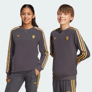 Obrázek produktu Mikina Manchester United Terrace Icons Adidas